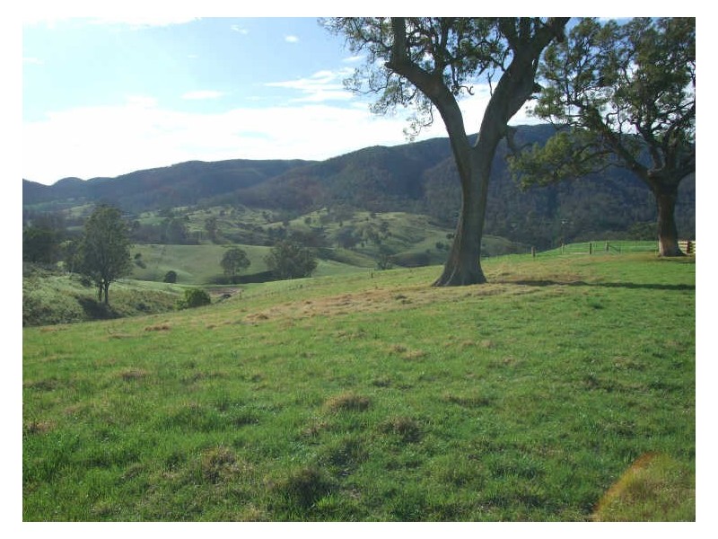 29 Bellemount Lane, Brogo NSW 2550