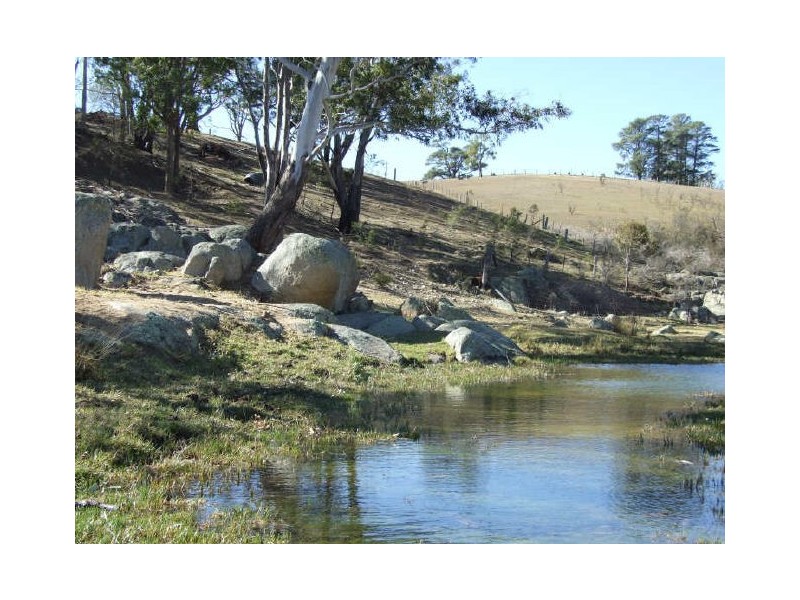 Bemboka NSW 2550