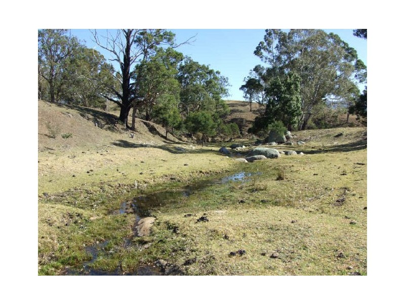 Bemboka NSW 2550