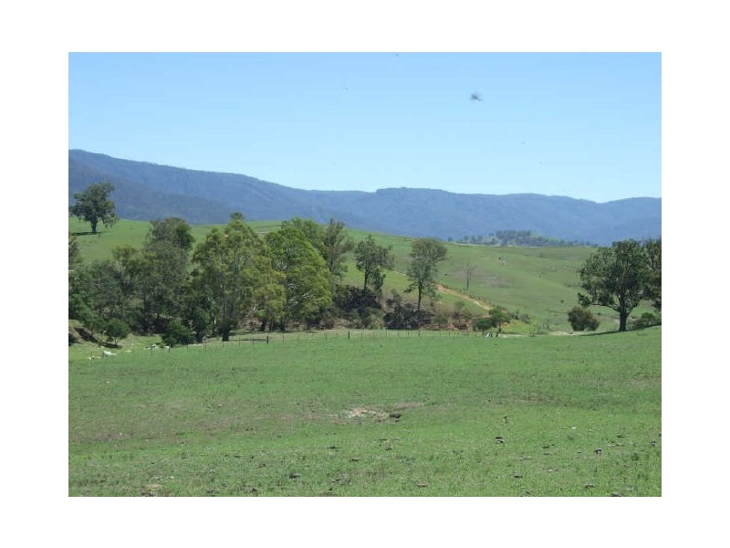 Bemboka NSW 2550