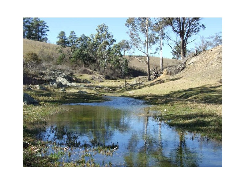 Bemboka NSW 2550