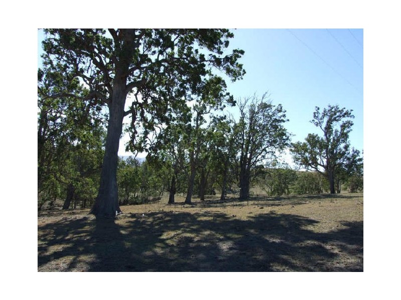 Bemboka NSW 2550