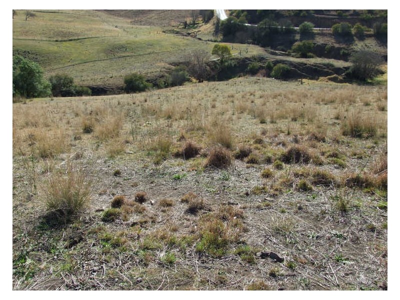 Lots 1 & 2 Auckland Street, Candelo NSW 2550