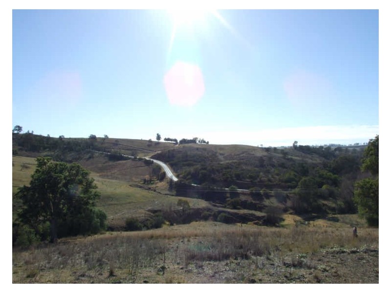 Lots 1 & 2 Auckland Street, Candelo NSW 2550