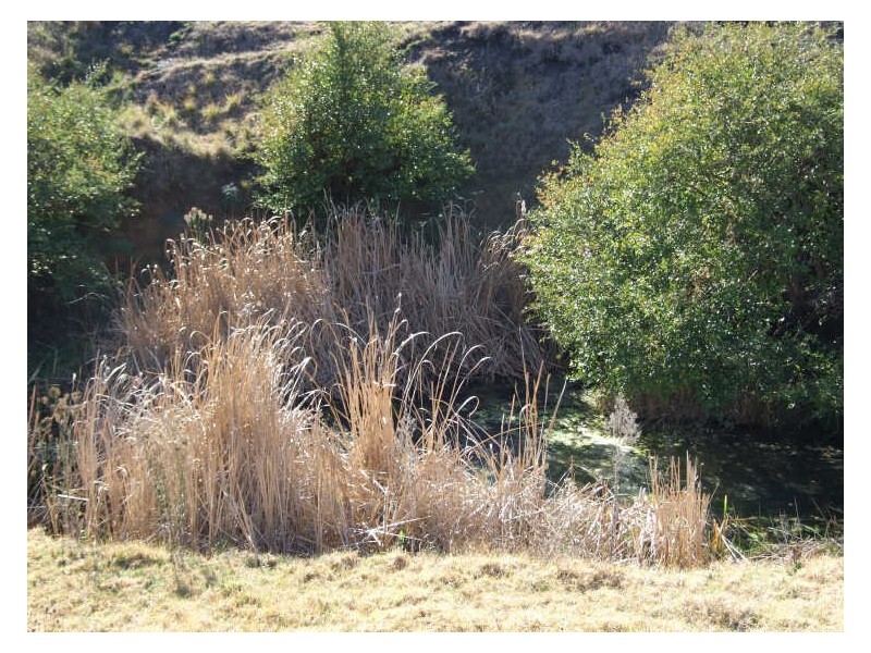 Lots 1 & 2 Auckland Street, Candelo NSW 2550