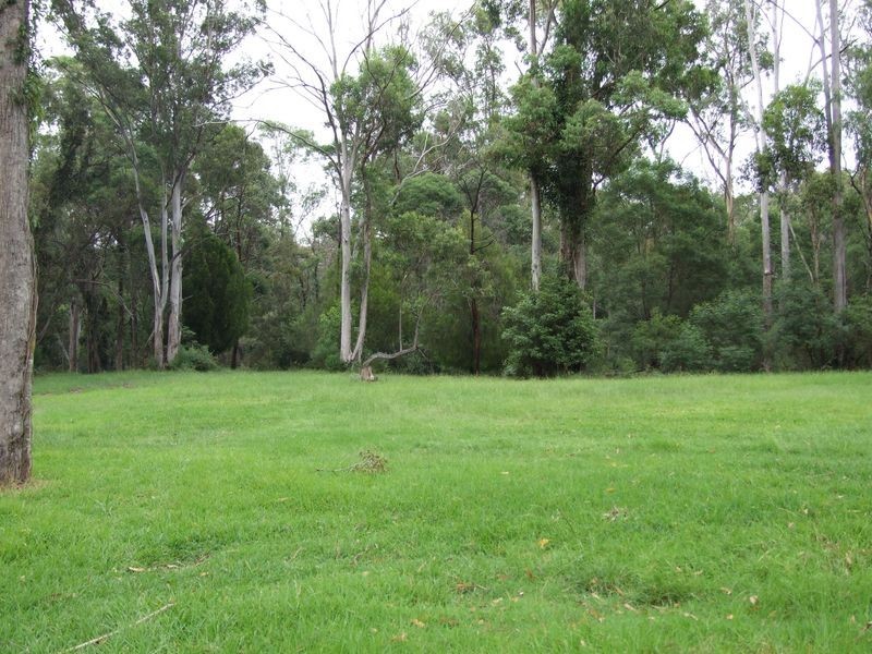 313 Reedy Swamp Road, Tarraganda NSW 2550