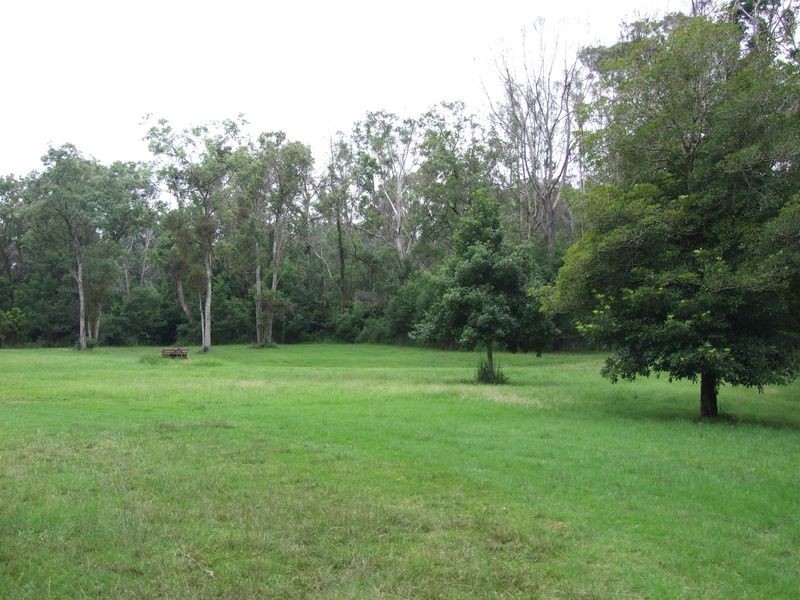 313 Reedy Swamp Road, Tarraganda NSW 2550