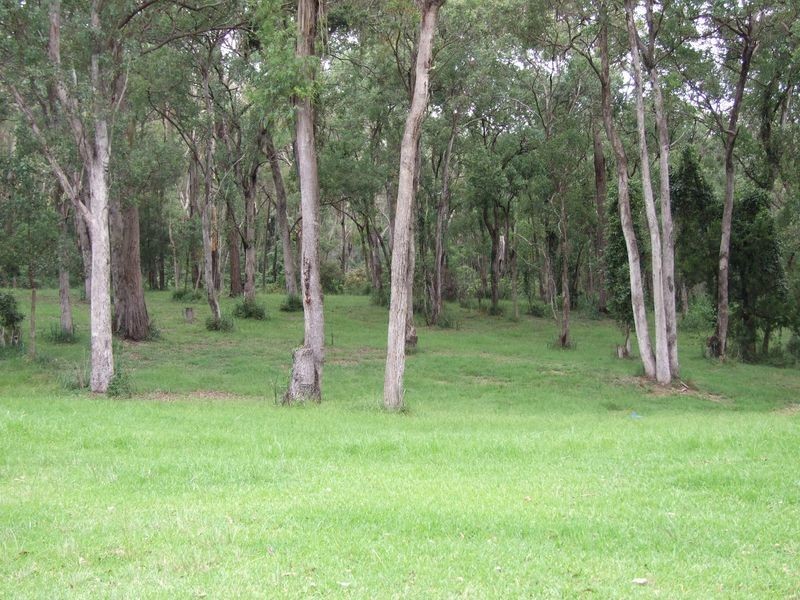 313 Reedy Swamp Road, Tarraganda NSW 2550