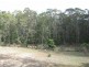 1086 Furners Road, Bemboka NSW 2550