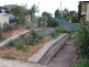Bega NSW 2550