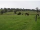 ‘St Ivans Park’/4321 Princes Highway, Cobargo NSW 2550