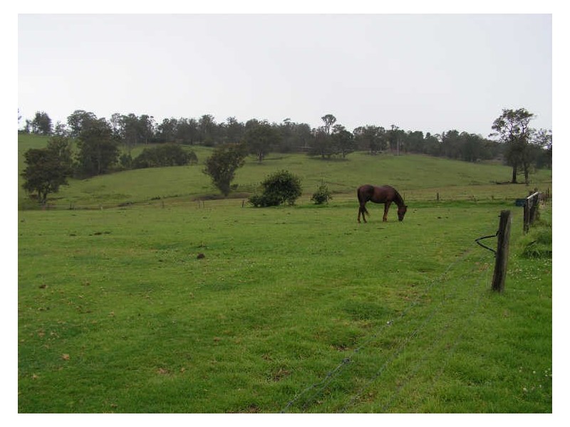 ‘St Ivans Park’/4321 Princes Highway, Cobargo NSW 2550