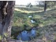 ‘St Ivans Park’/4321 Princes Highway, Cobargo NSW 2550