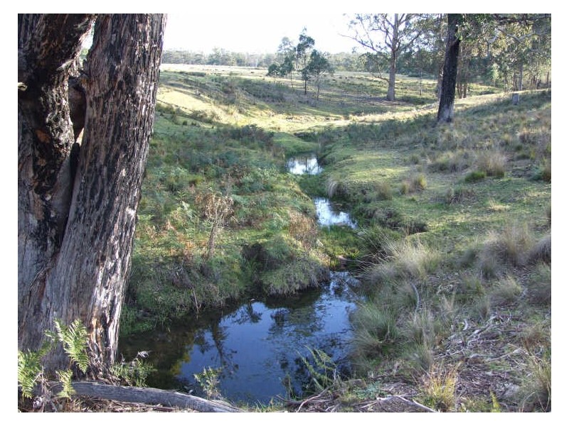 ‘St Ivans Park’/4321 Princes Highway, Cobargo NSW 2550