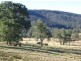‘St Ivans Park’/4321 Princes Highway, Cobargo NSW 2550
