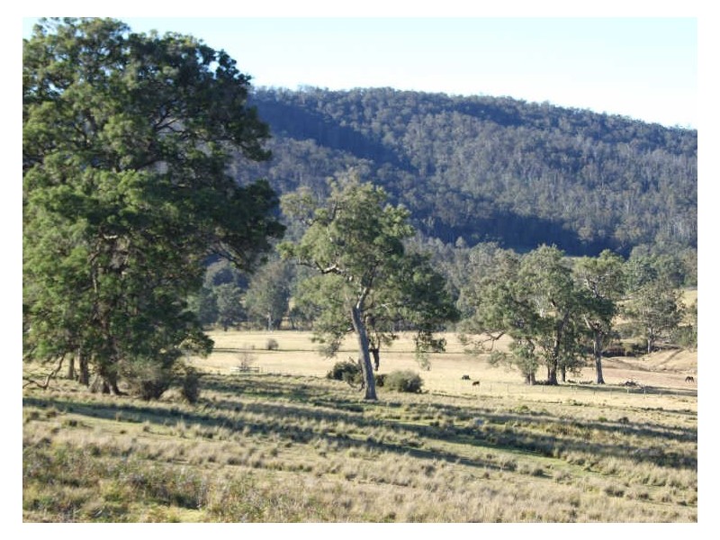 ‘St Ivans Park’/4321 Princes Highway, Cobargo NSW 2550