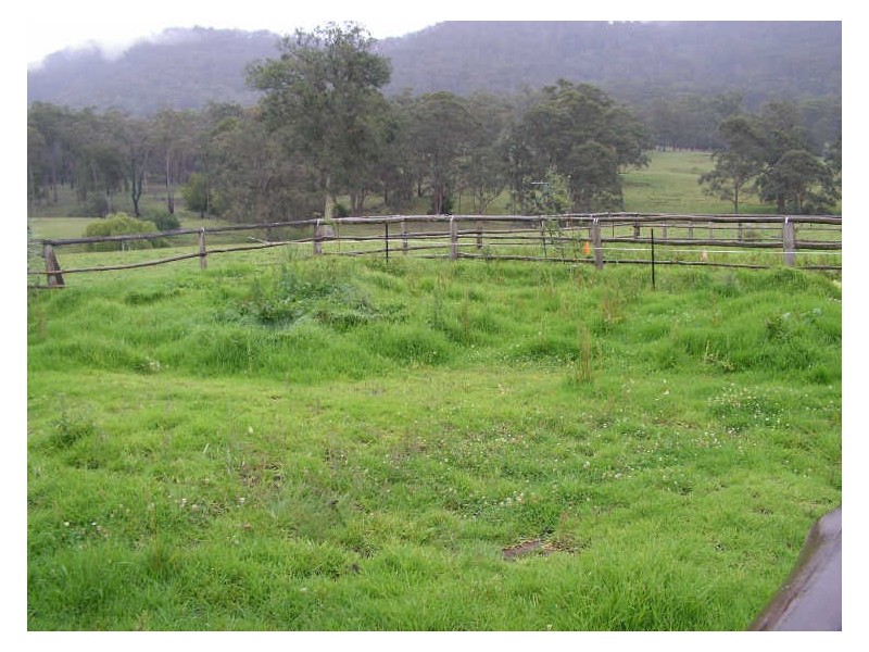 ‘St Ivans Park’/4321 Princes Highway, Cobargo NSW 2550