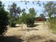 Wolumla NSW 2550