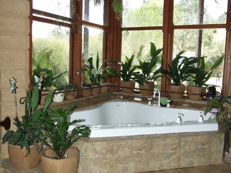 168 Mount Pleasant Road, Bega NSW 2550