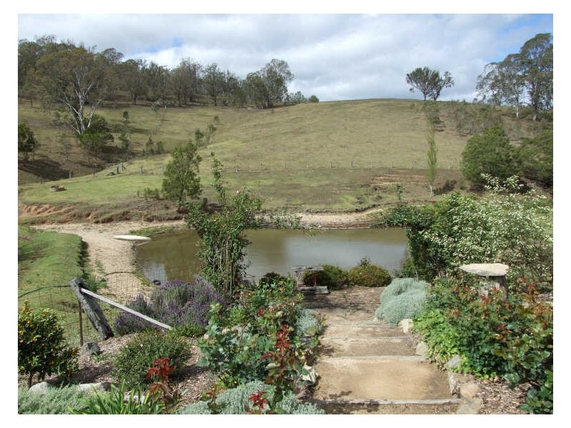 168 Mount Pleasant Road, Bega NSW 2550