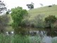 Wyndham NSW 2550