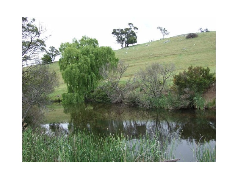 Wyndham NSW 2550