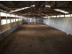 Wyndham NSW 2550