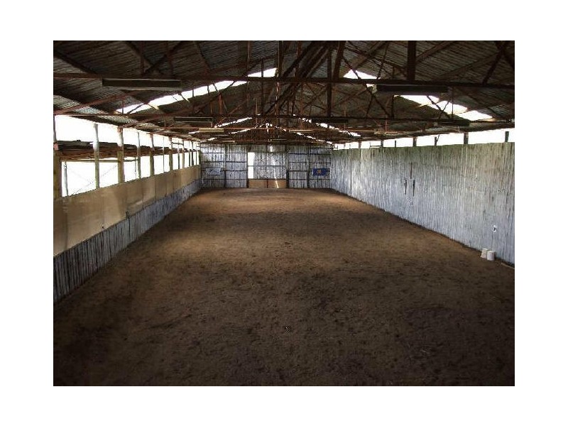 Wyndham NSW 2550