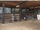 Wyndham NSW 2550