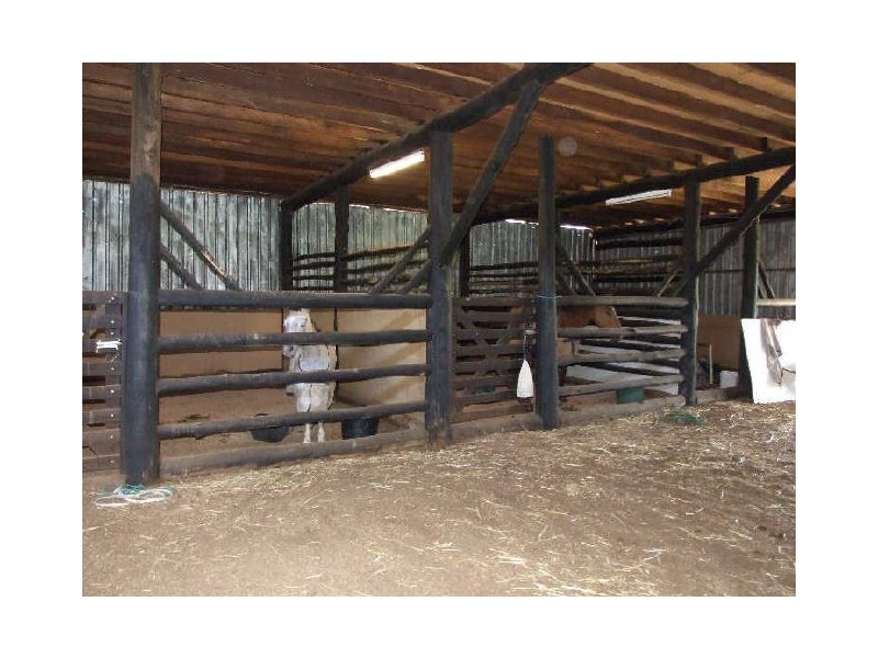 Wyndham NSW 2550