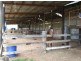 Wyndham NSW 2550