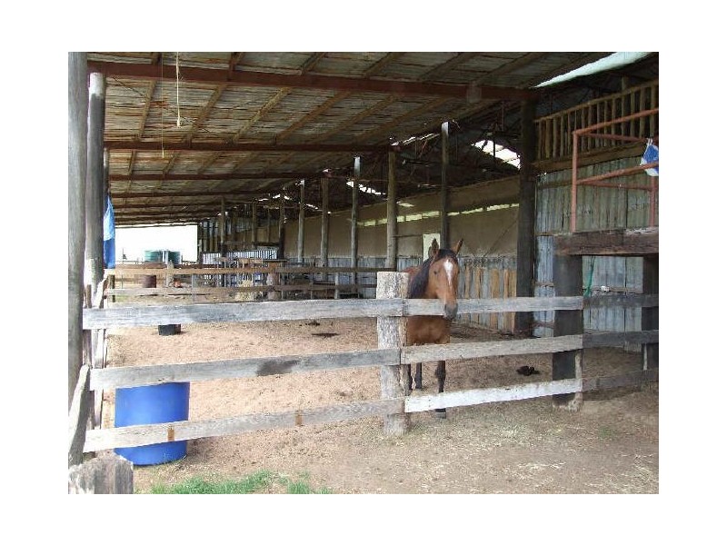 Wyndham NSW 2550