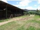 Wyndham NSW 2550