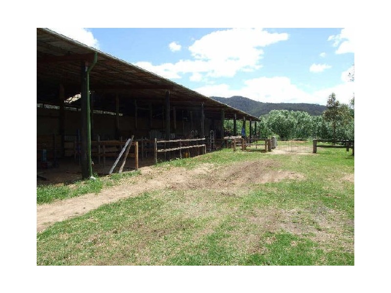 Wyndham NSW 2550