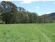 Wyndham NSW 2550