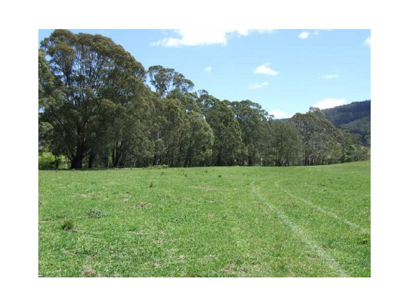 Wyndham NSW 2550
