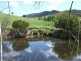 Wyndham NSW 2550