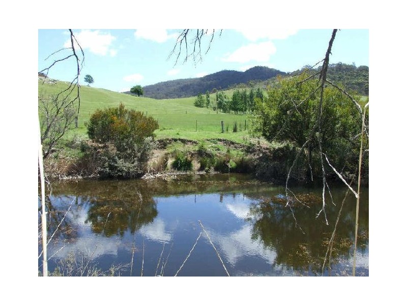 Wyndham NSW 2550