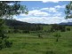 Wyndham NSW 2550