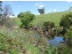 2635 Mount Darragh Road, Wyndham NSW 2550