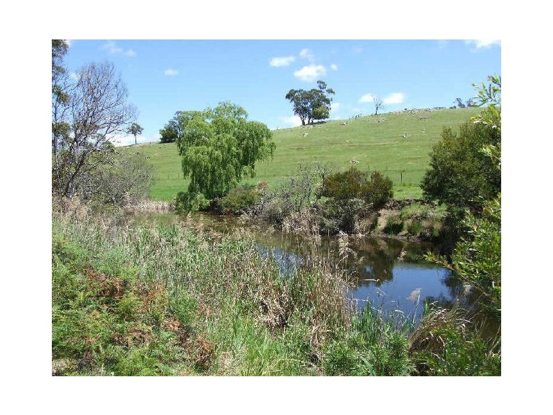 2635 Mount Darragh Road, Wyndham NSW 2550