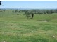 ‘Sunnyvilla”/201 South Wolumla Road, Wolumla NSW 2550