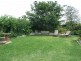 Bega NSW 2550