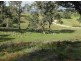 Lot 403 Batemans Road, Morans Crossing NSW 2550