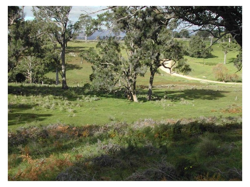 Lot 403 Batemans Road, Morans Crossing NSW 2550