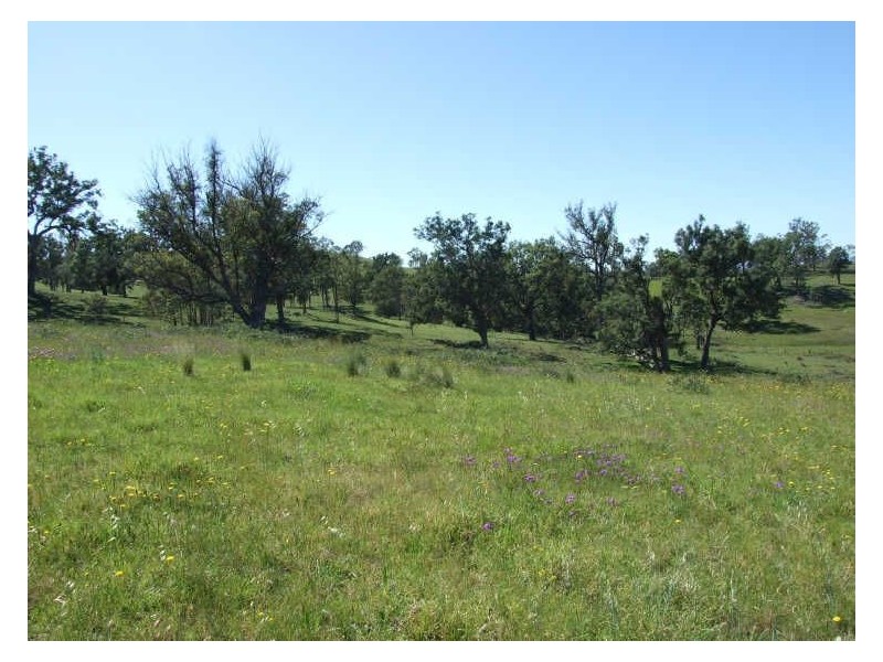 Lot 403 Batemans Road, Morans Crossing NSW 2550