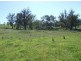 Lot 403 Batemans Road, Morans Crossing NSW 2550