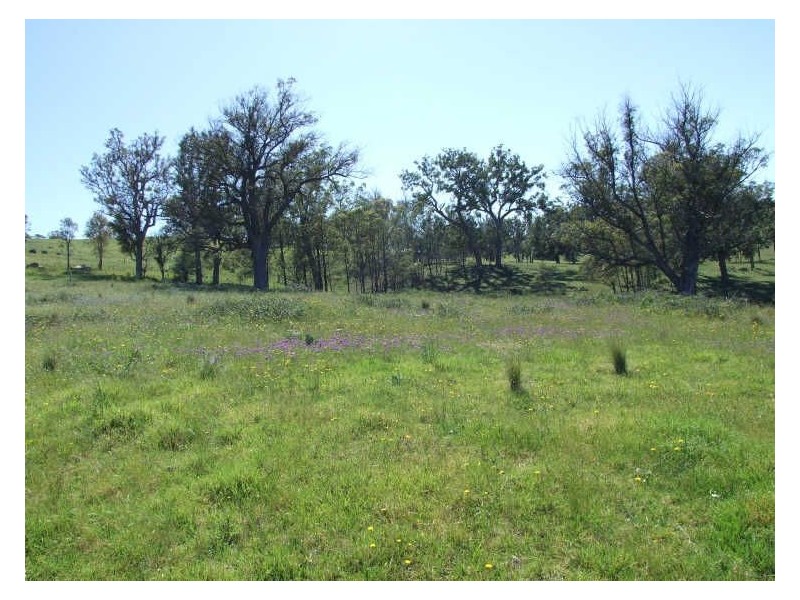 Lot 403 Batemans Road, Morans Crossing NSW 2550