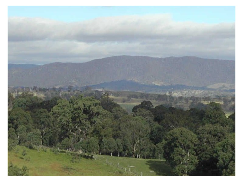 Lot 403 Batemans Road, Morans Crossing NSW 2550