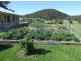 66 Mynora Lane, Cobargo NSW 2550
